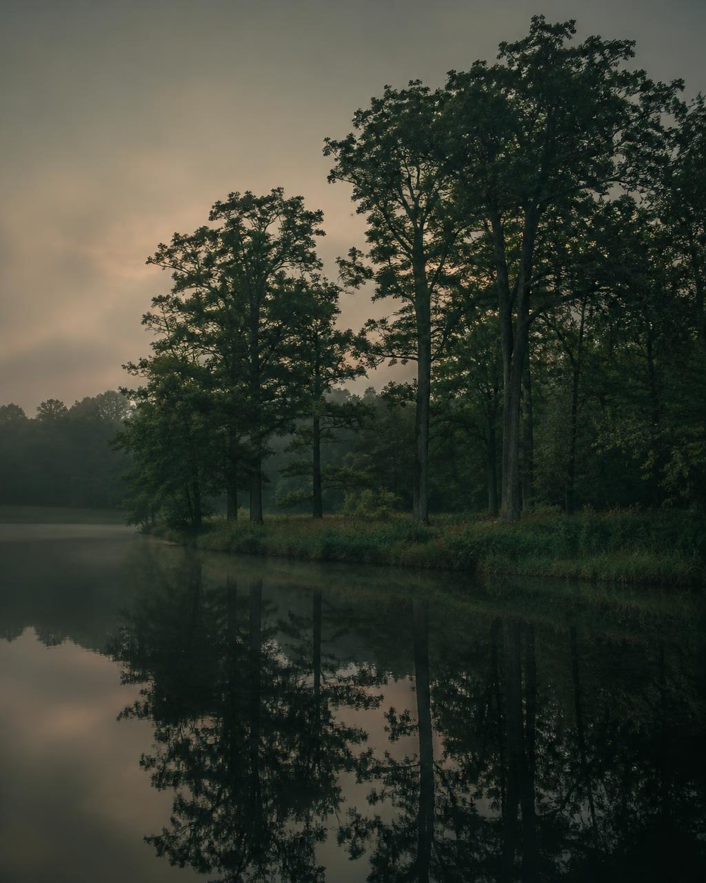 Oude bomen weerspiegeld in stil water